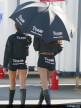 South Africa Paddock Girls