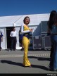 South Africa Paddock Girls