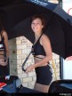 South Africa Paddock Girls