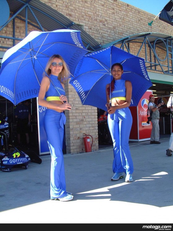 South Africa Paddock Girls