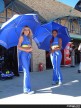 South Africa Paddock Girls