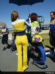 South Africa Paddock Girls 8