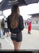 Paddock girls - Le Mans