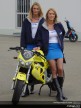 Paddock girls - Le Mans