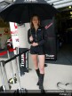 Paddock girls - Le Mans