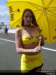 Paddock girls - Le Mans