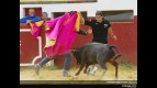 GP of Spain Mixed Photo Gallery