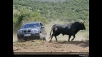 GP of Spain Mixed Photo Gallery