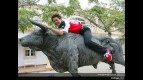 GP of Spain Mixed Photo Gallery
