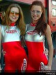 Paddock girls - Mugello