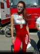 Paddock girls - Mugello