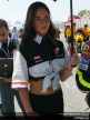 Paddock girls - Mugello