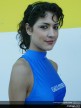 Paddock girls - Mugello