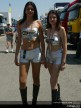 Catalunya Paddock Girls
