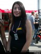 Catalunya Paddock Girls