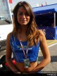 Catalunya Paddock Girls