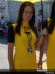 Catalunya Paddock Girls