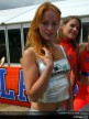 Assen Paddock Girls
