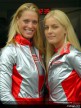 Assen Paddock Girls