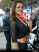 Assen Paddock Girls