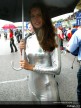 Assen Paddock Girls