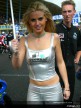 Assen Paddock Girls
