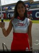 Donington Paddock Girls
