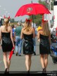 Brno Paddock Girls