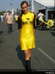 Brno Paddock Girls