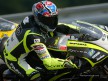 Cecchinello