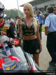 Brno Paddock Girls
