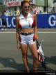 Brno Paddock Girls
