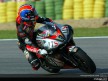 250 - Action Shots