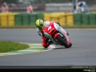 250 - Action Shots