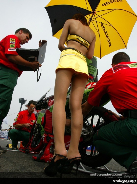 Paddock girls - Motegi