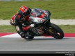 melandri 