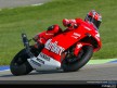 MotoGP Circuit Action Shots