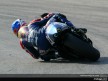 MotoGP Circuit Action Shots