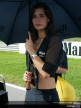 Paddock Girls - Valencia