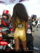 Paddock Girls - Valencia