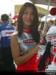Paddock Girls - Valencia