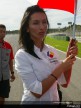 Paddock Girls - Valencia
