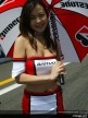 Paddock Girls - Suzuka