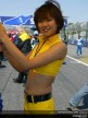 Paddock Girls - Suzuka