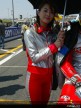 Paddock Girls - Suzuka