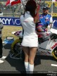 Paddock Girls - Suzuka