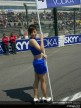 Paddock Girls - Suzuka
