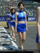 Paddock Girls - Suzuka