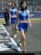 Paddock Girls - Suzuka