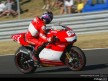 MotoGP Circuit Action Shots